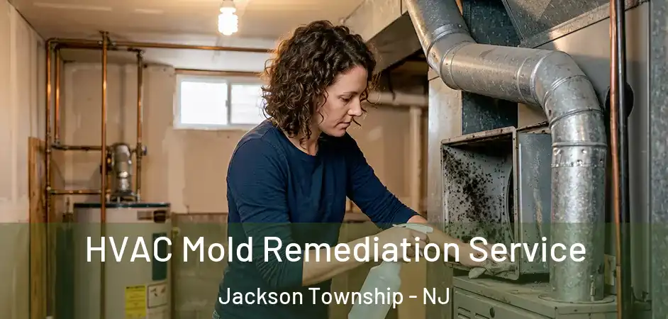  HVAC Mold Remediation Service Jackson Township - NJ