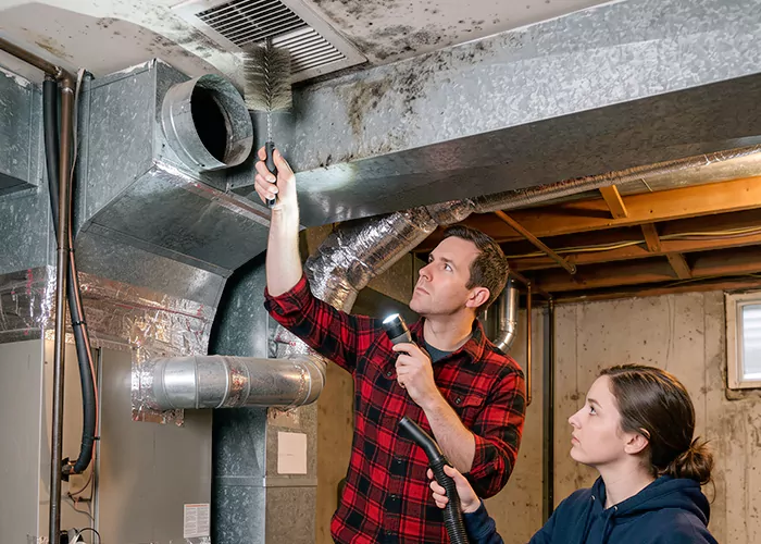 Premier HVAC Mold Remediation Company in Jackson Township